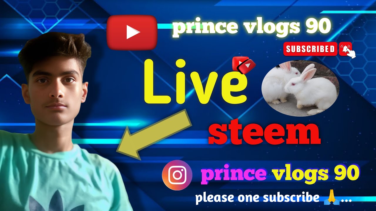 prince vlogs V's rabbit vlogs 🐇🐰💤💤💢💦