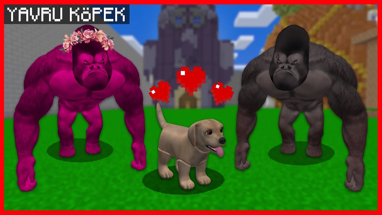 KİNG KONG'UN K&Ouml;PEĞİ OLDU! 😍 - Minecraft ZENGİN FAKİR HAYATI