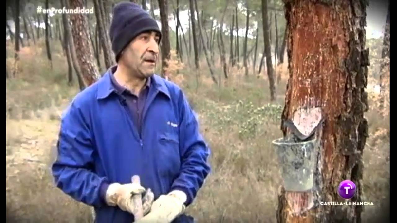 En Profundidad. Resineros