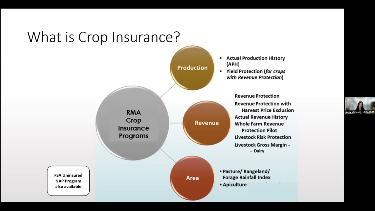 Peace of Mind for Farmers: Understanding USDA Crop Insurance