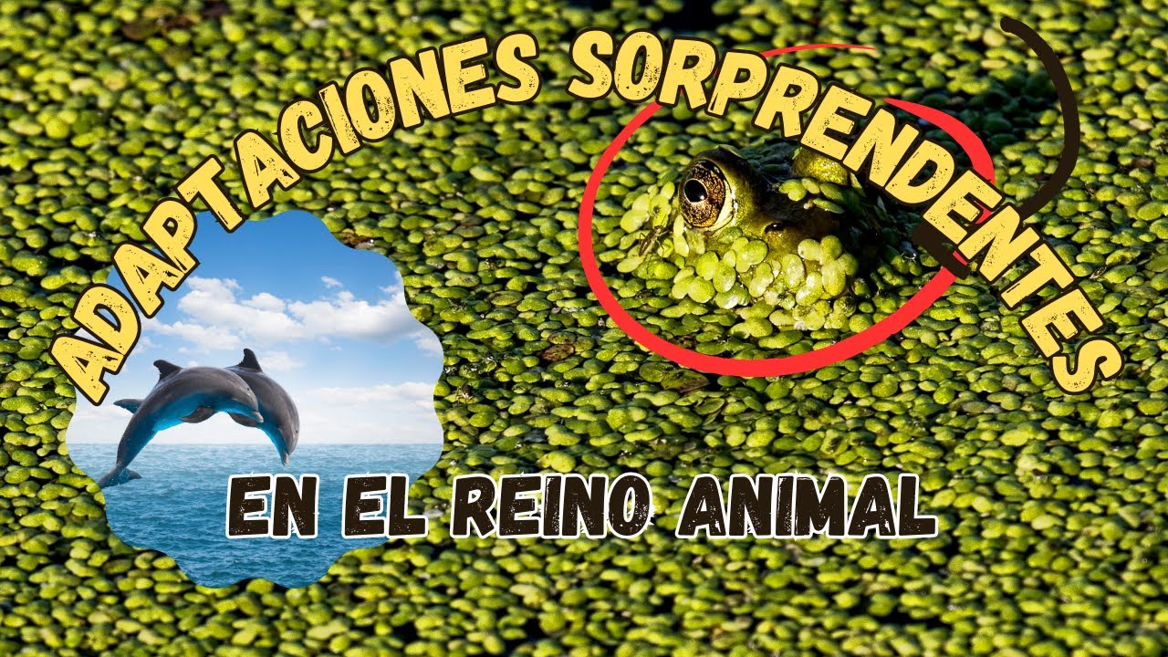 Evolución en Acción: Adaptaciones Sorprendentes en el Reino Animal