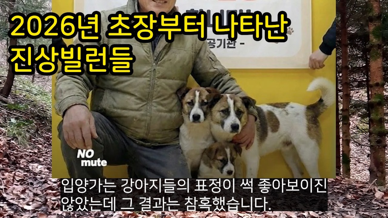 2026년을 초장부터 빛냈던 진상빌런들