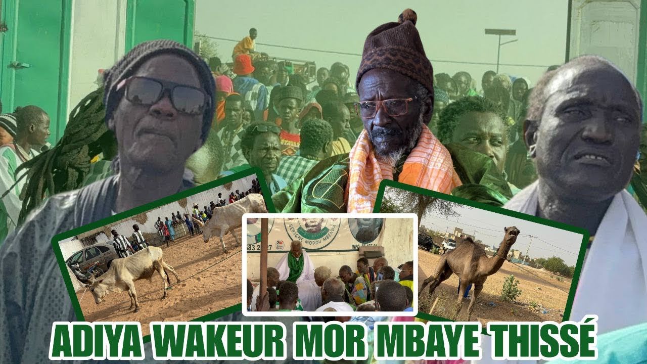ADIYA WAKEUR S MODOU MBAYE THISSÉ CII S MOUSTAPHA FALL KHALIF S MODOU MBENDA 💚🤍
