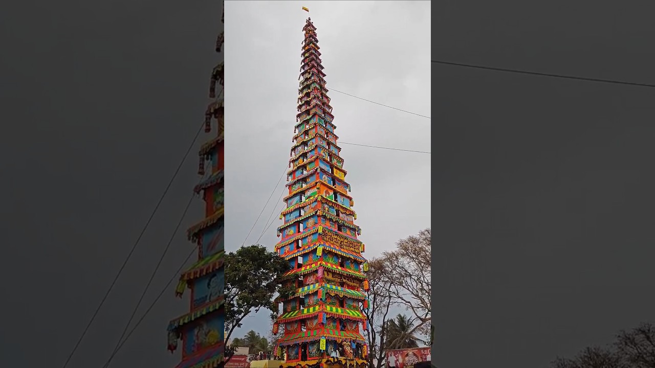 2025 Gattahalli Kurju reaching Huskur Maduramma Temple #shortsfeed #shorts #gattahalli #kurju#jatre