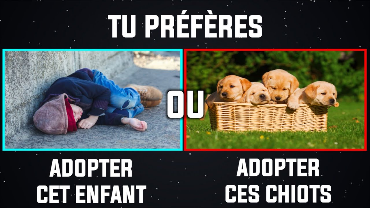 LES DILEMMES LES PLUS DIFFICILES AU MONDE ! part. 24