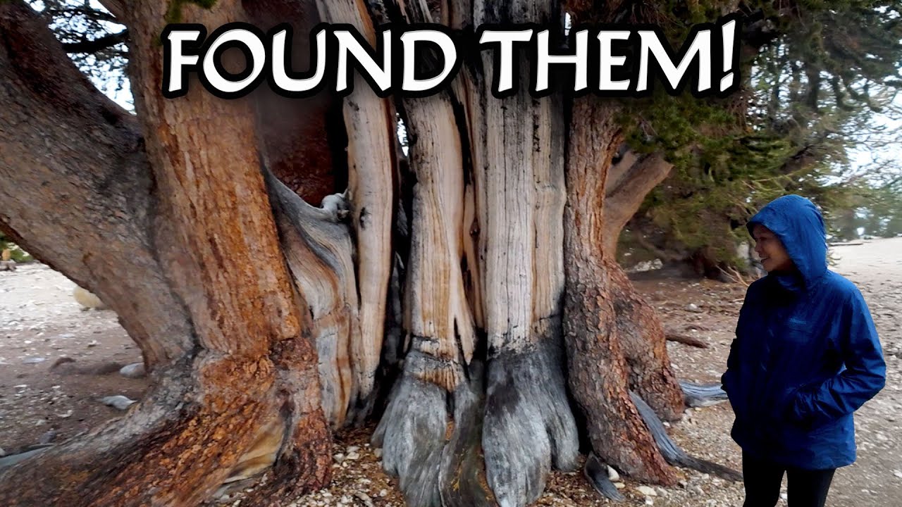Seeking the Ancients: A 5,000 Year Journey at 10,000 Feet