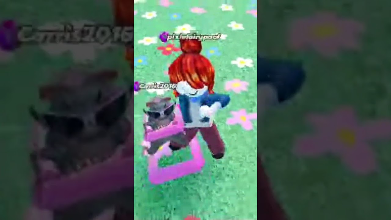 gnarly kid friendly sorry for long wait 