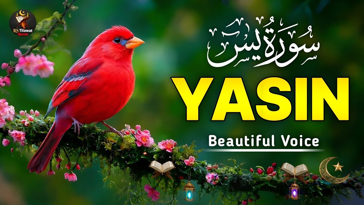 Surah Yasin (Yaseen)سورة يس | Full With Arabic Text | Sheikh Alaa Aqel | Beautiful Tilawat 