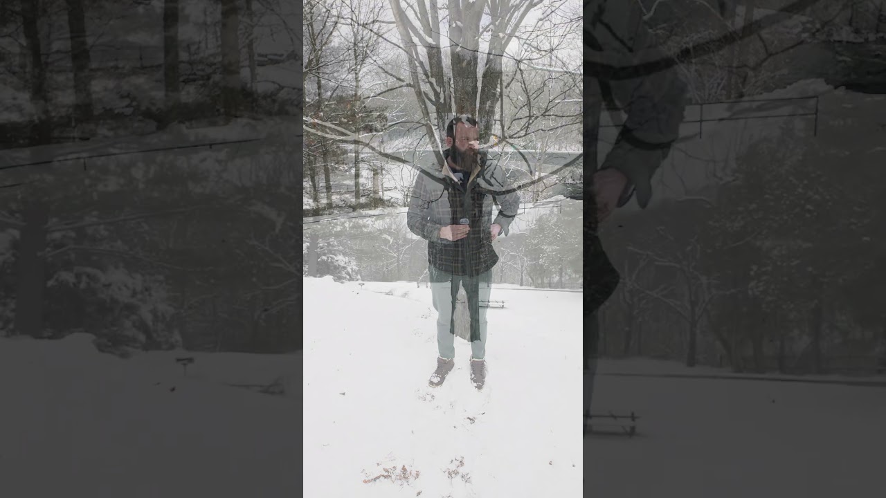 Nov. 2024 Market Report in the Winter Wonderland ❄️ #asmr #winter #marketreports