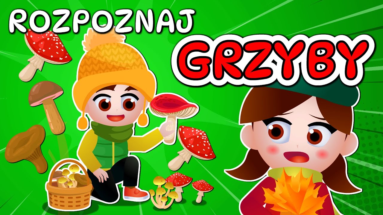 🍄 Kazio i TEST GRZYBIARZA - Grzybobranie dla dzieci - Rozpoznawanie grzybów 🍄