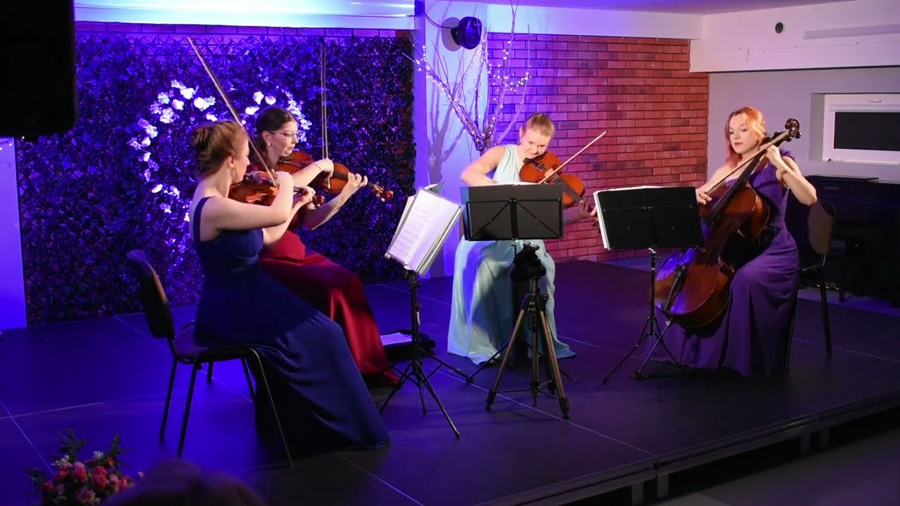 Dr No - theme song - James Bond (intsrumental). Brilliant String Quartet