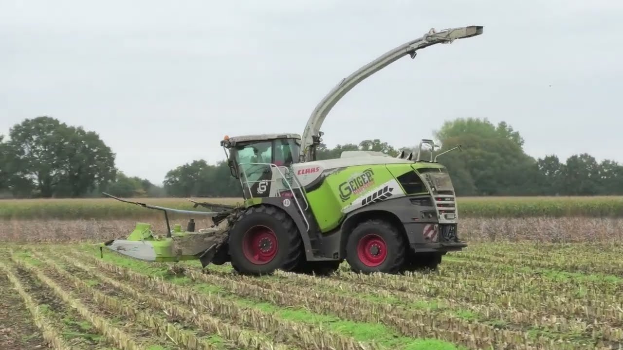 MAIS HAKSELEN MET EEN CLAAS JAGUAR 980 CLAAS FENDT 920