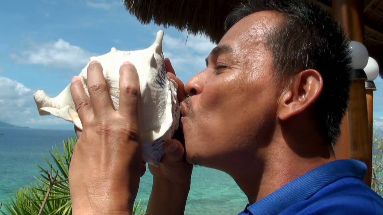 Buceo en CEBÚ -  Filipinas