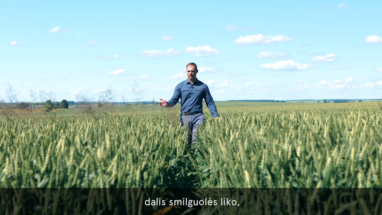 Patikimas herbicidas atsparioms piktžolėms naikinti