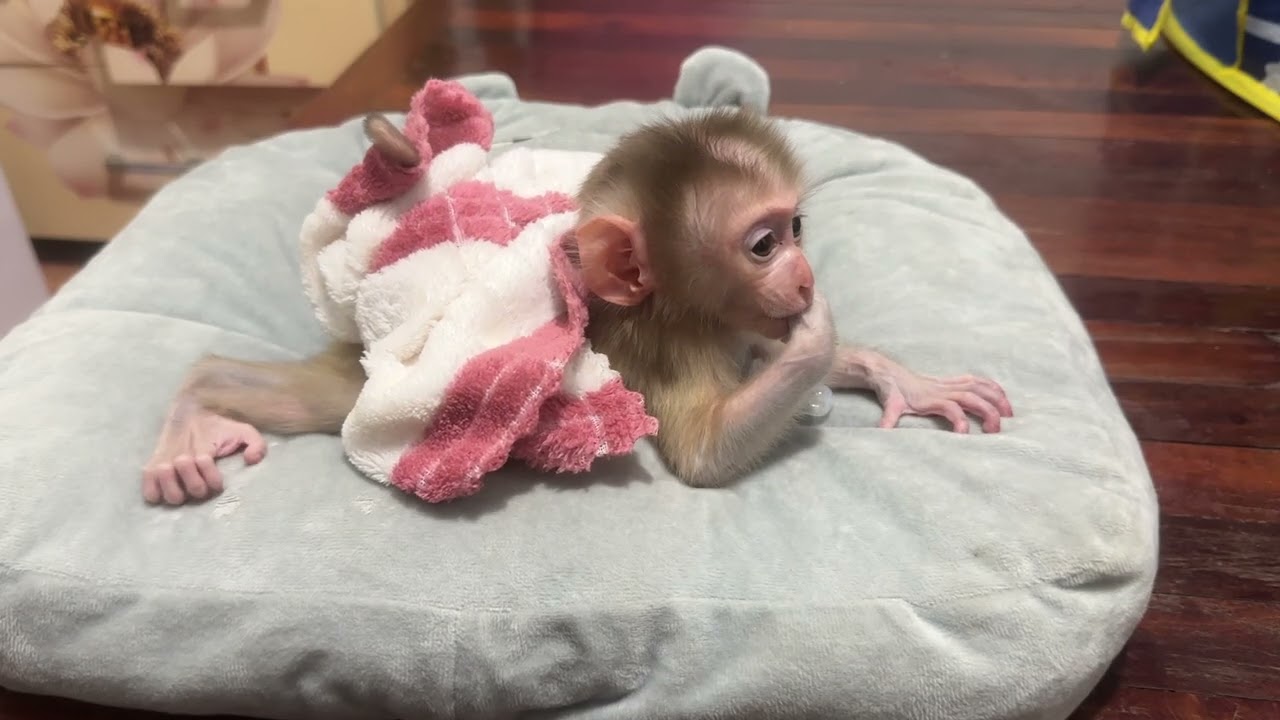 So lovely 🥰 little boy 