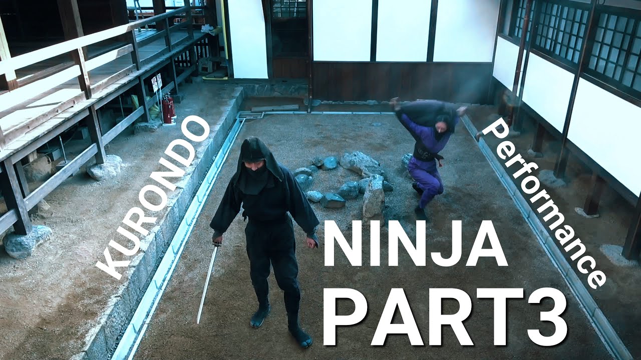 Professional Ninja group 