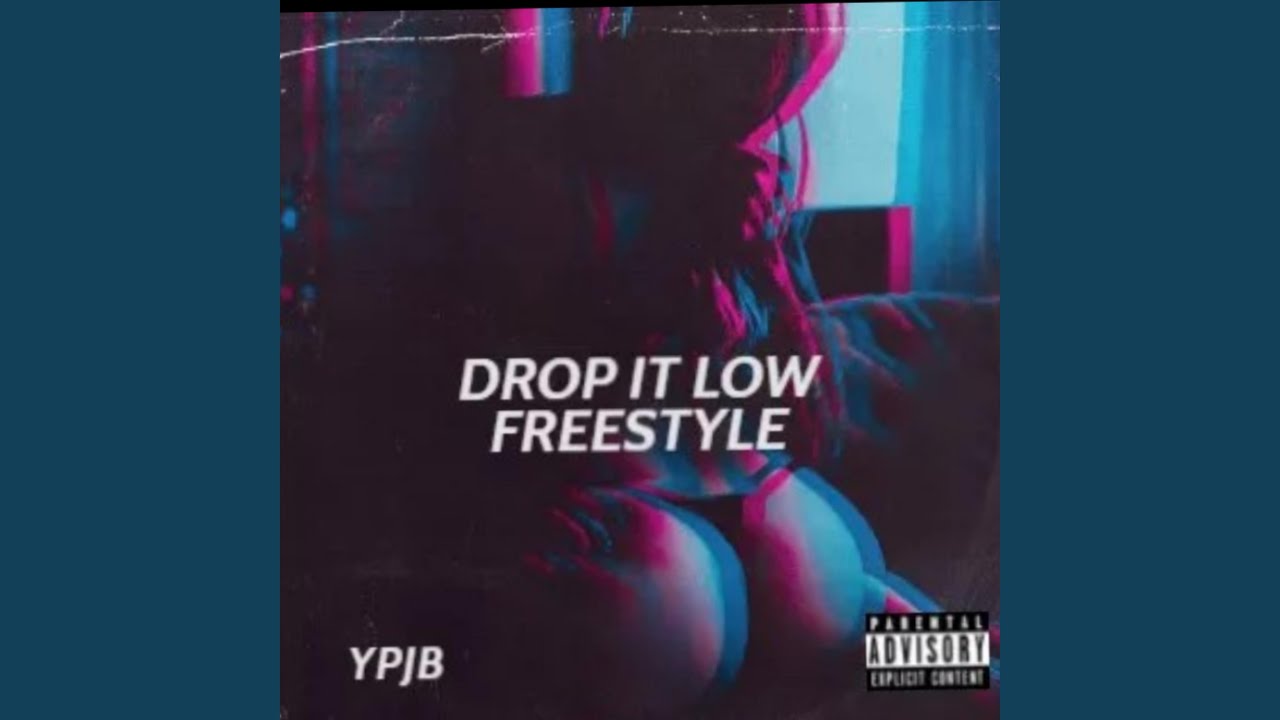 drop it low freestyle (twerk song)