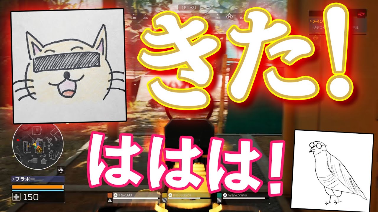 にゃんこらすの必死さに超ツボってしまうつばさブロー