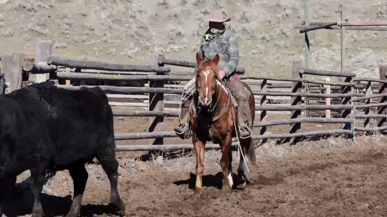 Centavo