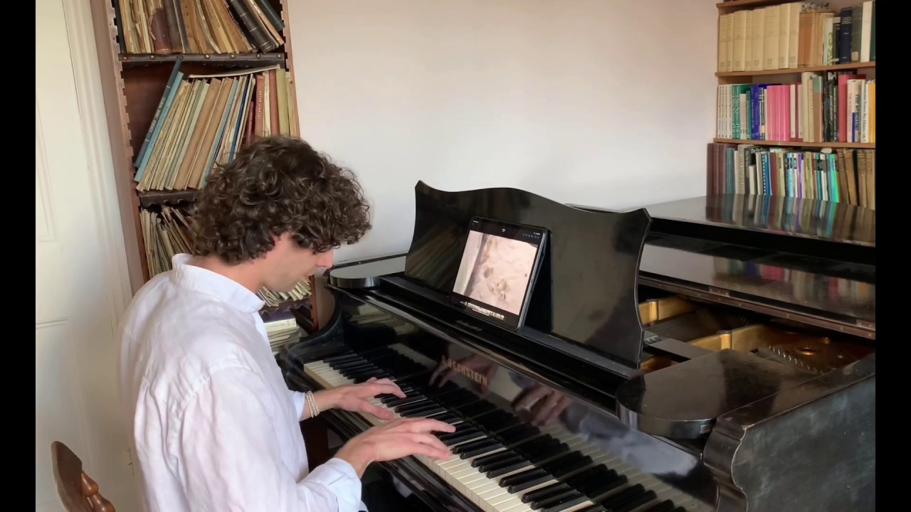 The sound of the book, Entangled Life, being devoured by a fungus – with a piano accompaniment