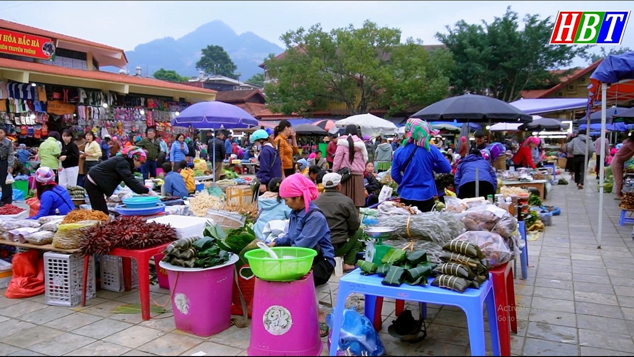 CHỢ TÂY BẮC NHỘN NHỊP - BẮC HÀ | Ẩm Thực Số 1 - Dược Liệu Quý Hiếm - Vật Lạ Trên Rừng Bán La Liệt 