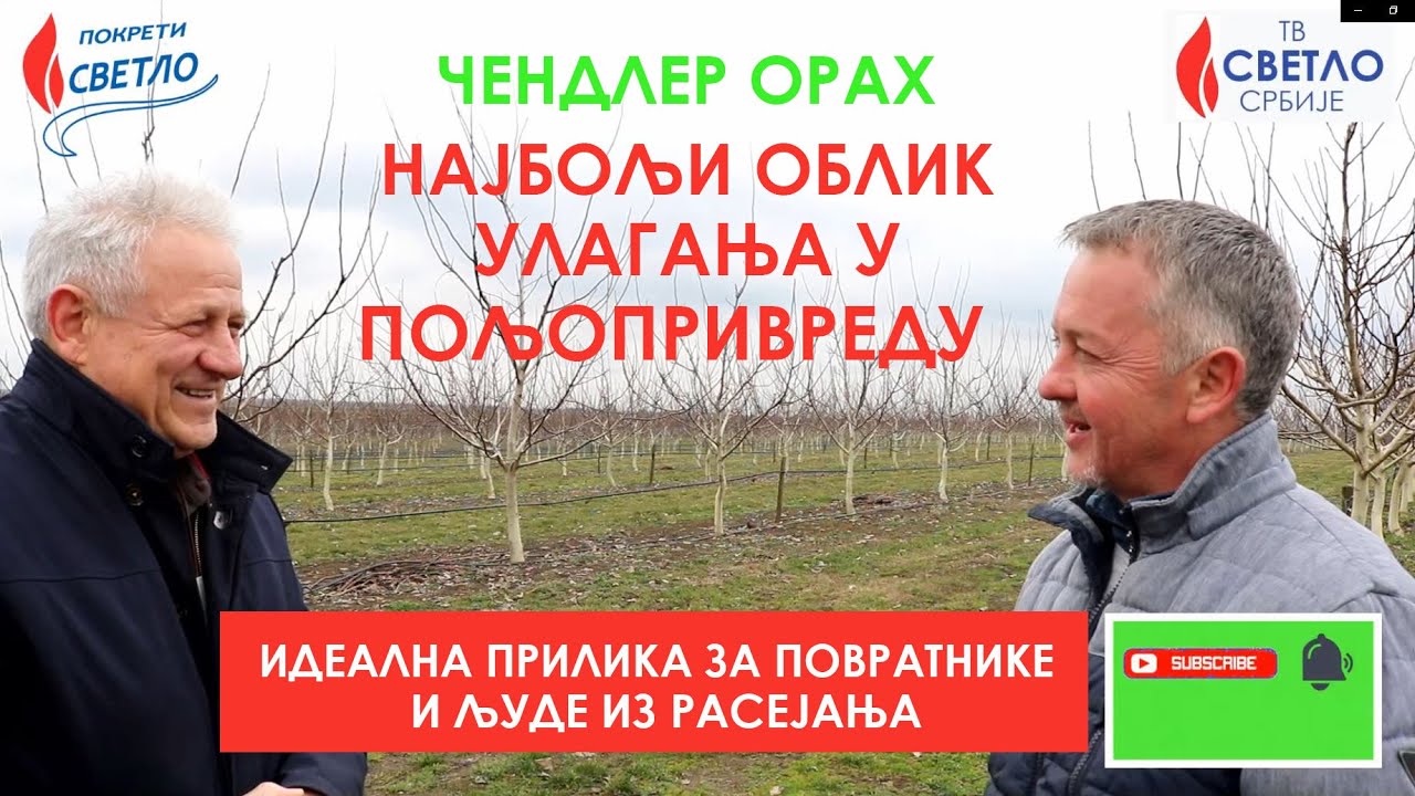 NAJBOLJI OBLIK ULAGANJA U POLJOPRIVREDU JE ČENDLER ORAH - Dragan Madžovski i Dušan Vučković