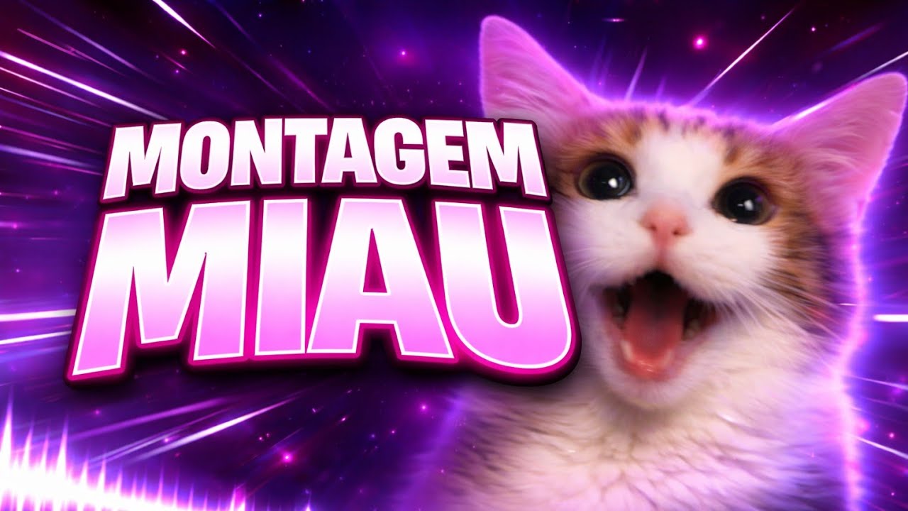 MONTAGEM MIAU!
