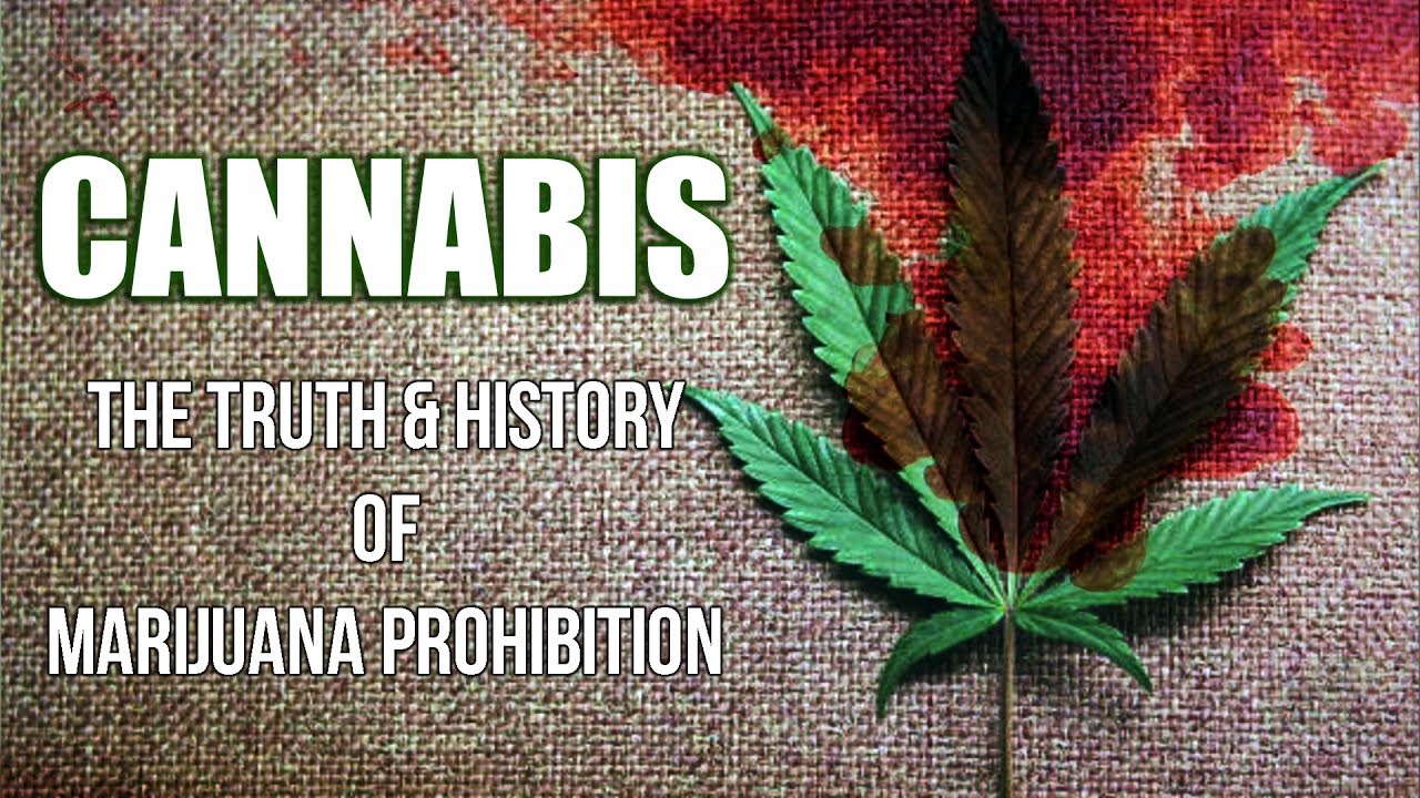 CANNABIS | The History & Truth of Marijuana Prohibition