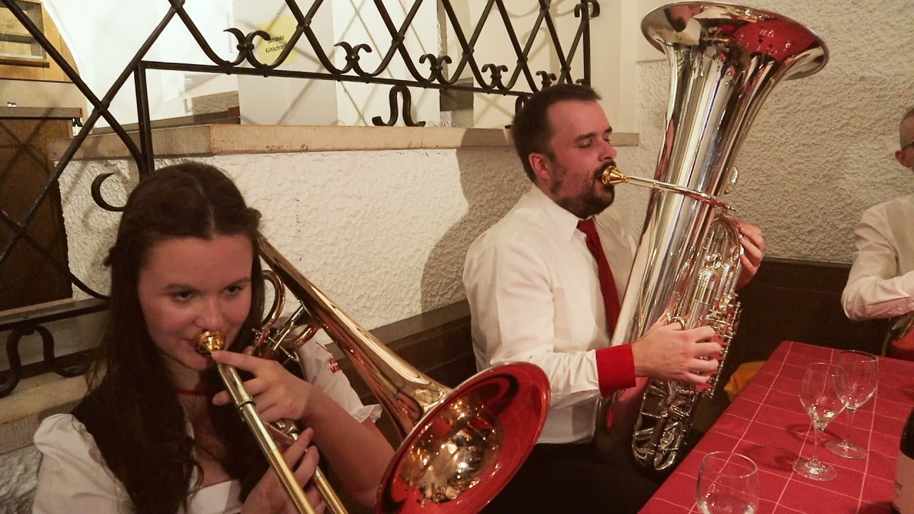 Lebenslinien | VOLLBLUTMUSIKANTEN