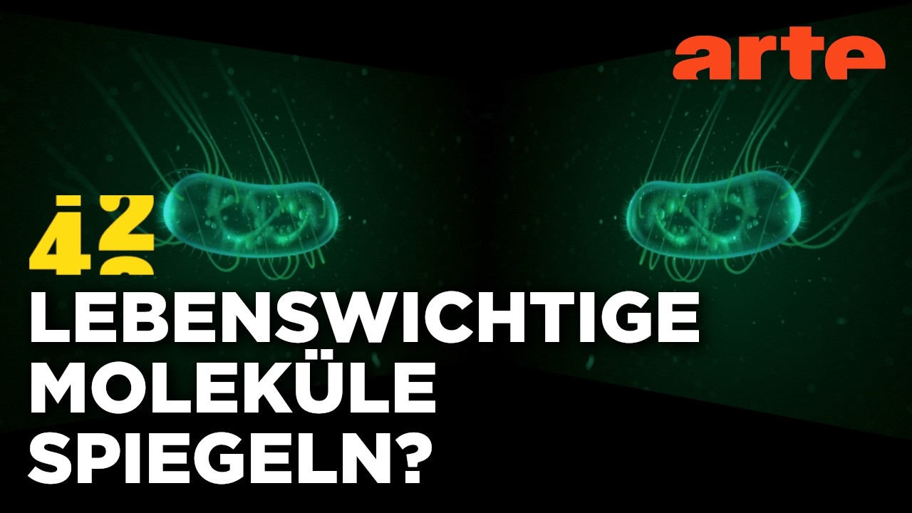 Was, wenn das Leben spiegelverkehrt wäre? | 42 - Die Antwort auf fast alles | ARTE