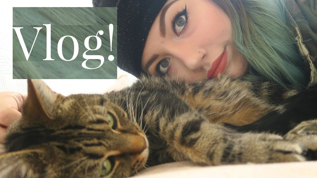 KITTIES AND COFFEES!