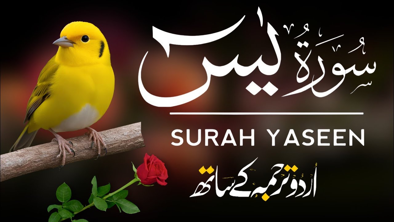 Surah Yaseen | Surah Yaseen With Urdu Translation | Episode - 660