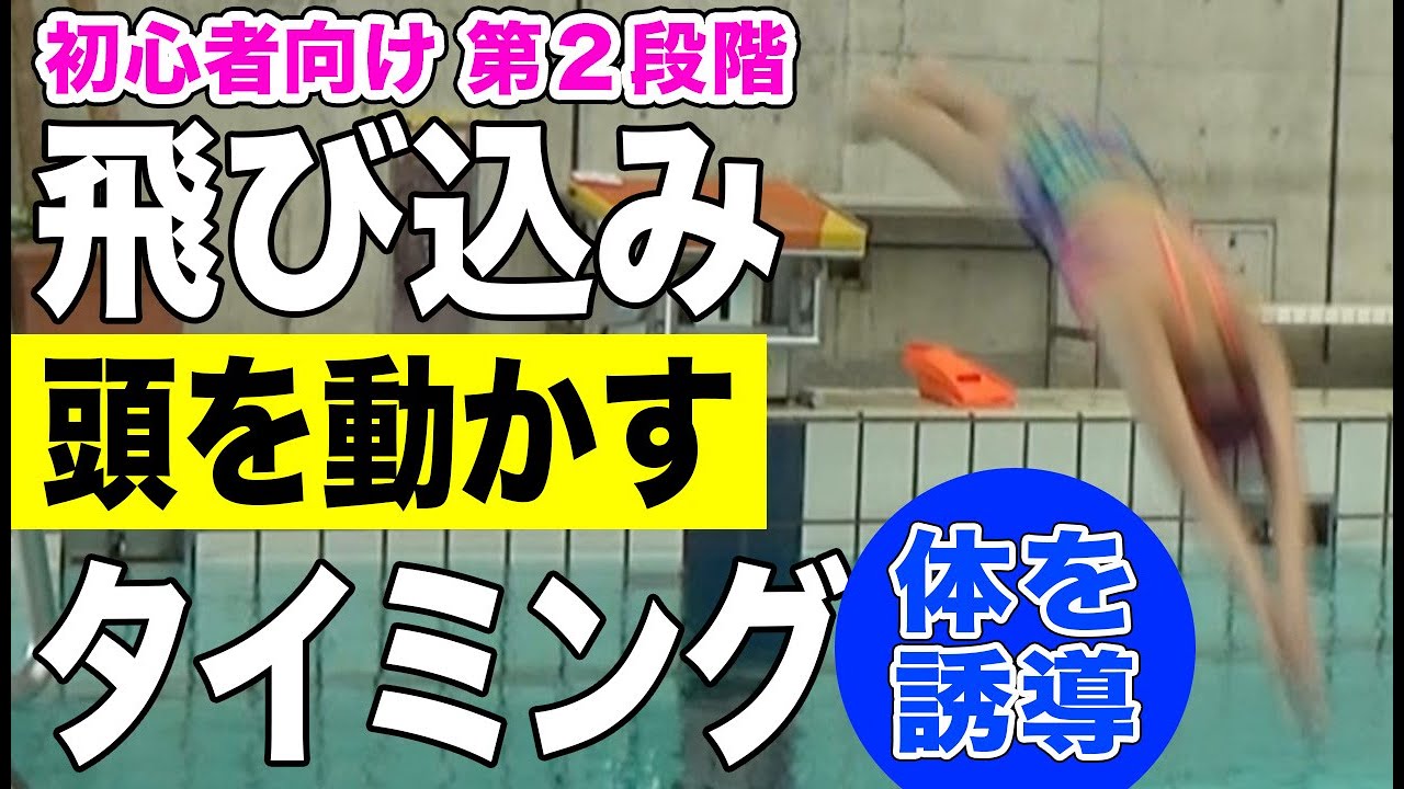 水泳 飛び込み 頭を動かすタイミング（第2段階）
