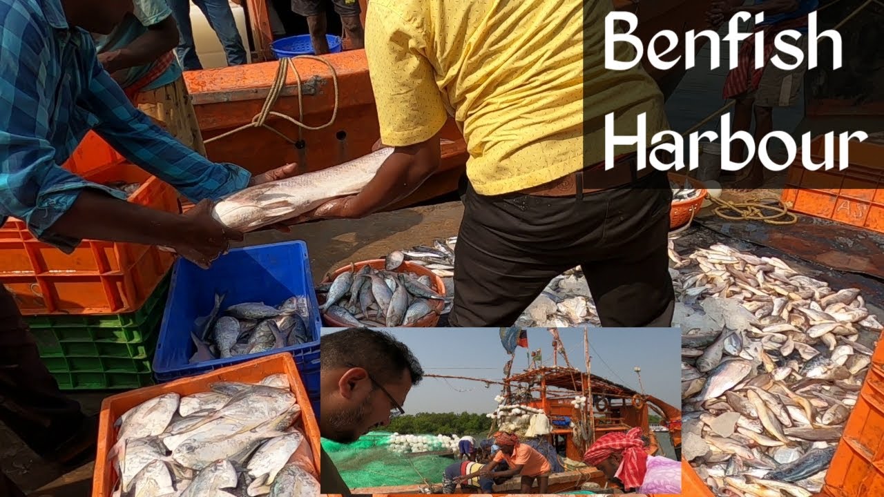 Bong Fish Lover visiting Benfish Harbour || #bakkhali tour vlog || Ep # 3