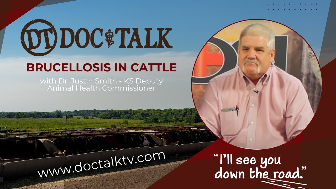 DocTalk Ep 316 - Brucellosis in Cattle with Dr. Justin Smith