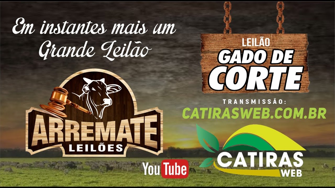LEILÃO AO VIVO ARREMATE LEILÕES - ROMARIA - MG - 08 DE FEVEREIRO DE 2026.