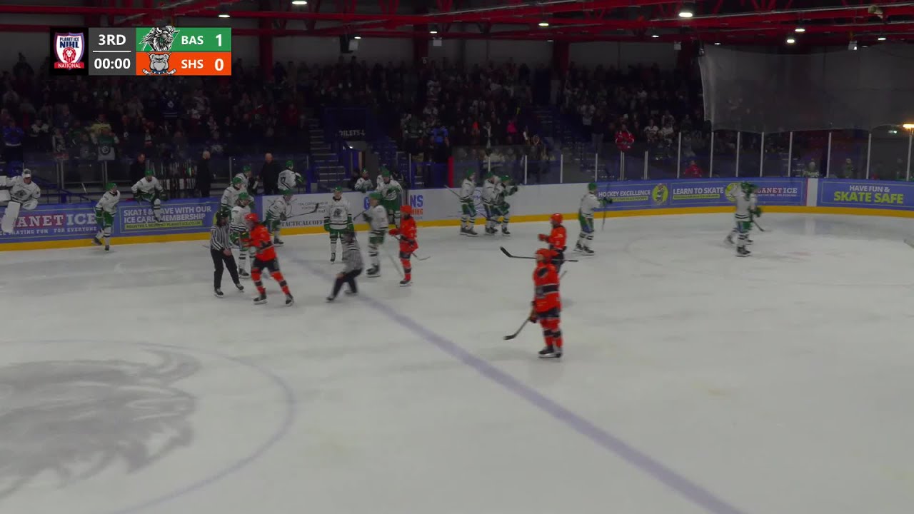 Basingstoke Bison vs. Sheffield Steeldogs - Game Highlights