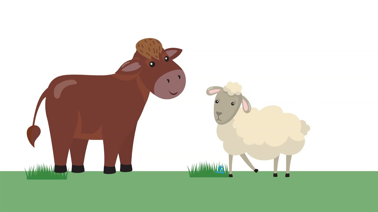 Паразиты 101