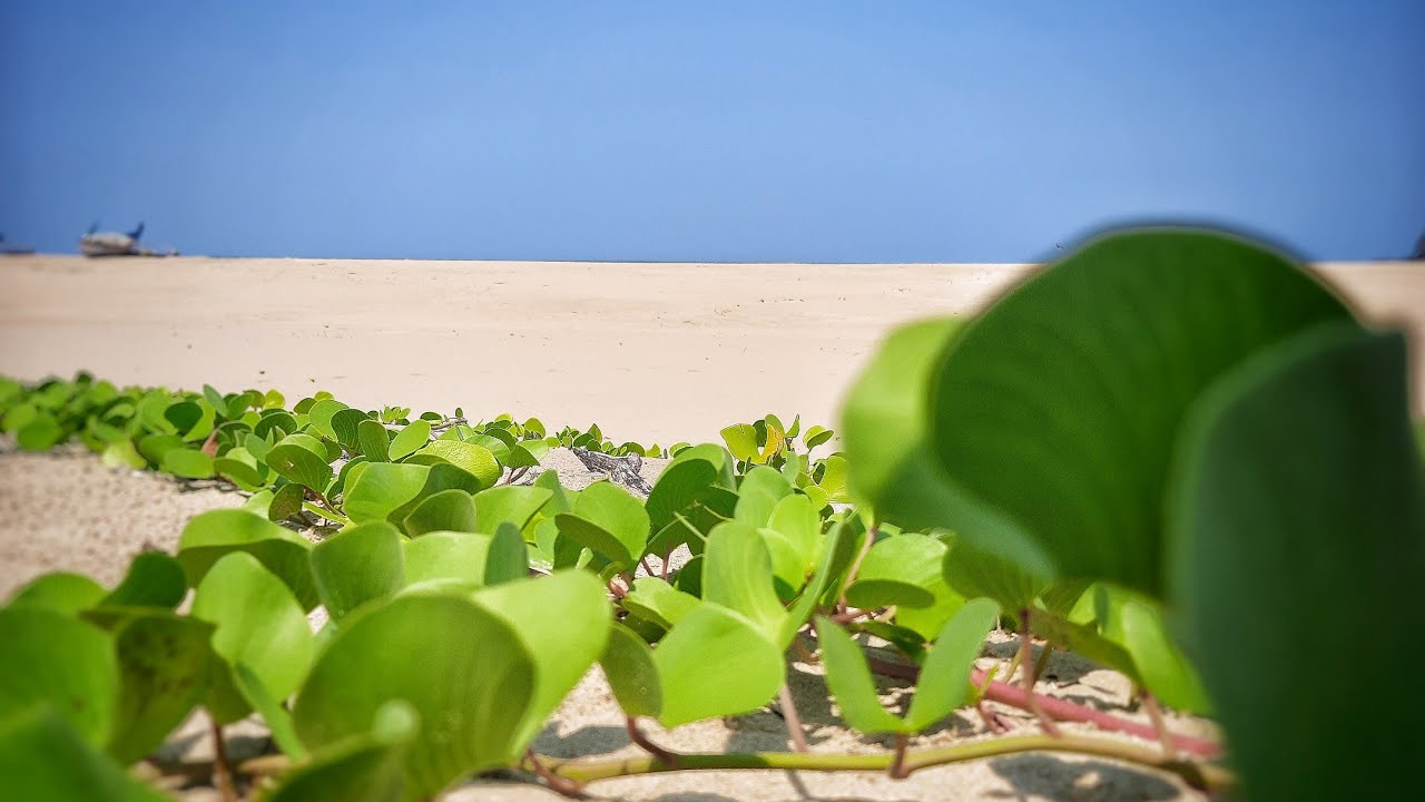 majali beach