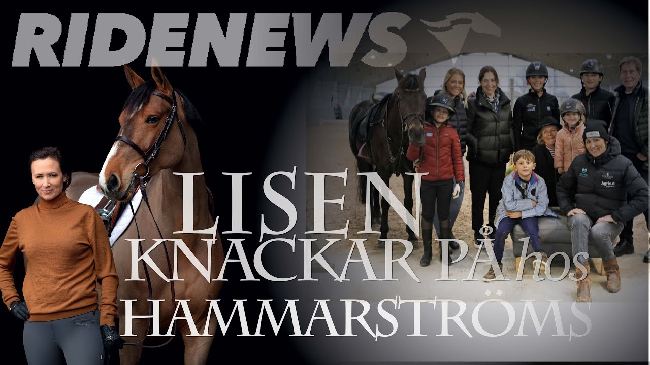 Lisen knackar på hos Familjen Hammarström - Ridenews