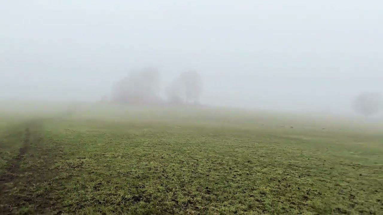 18/01/26 trail run 