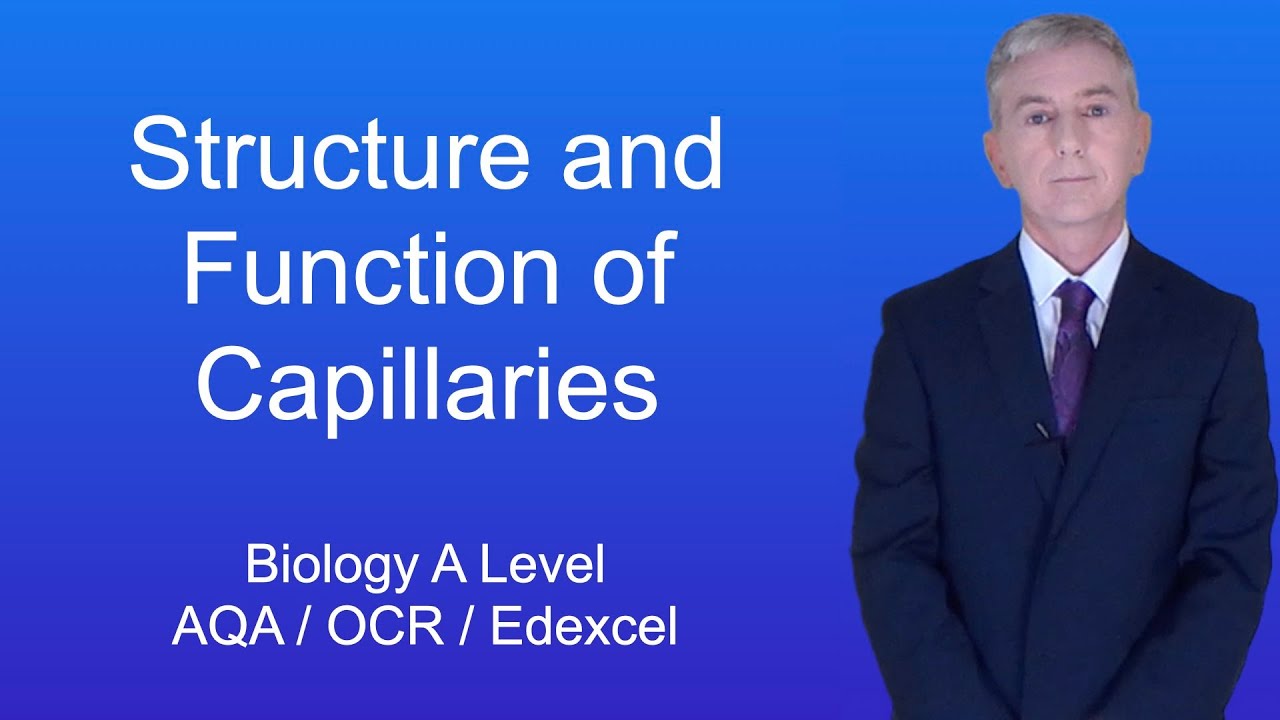 A Level Biology Revision 