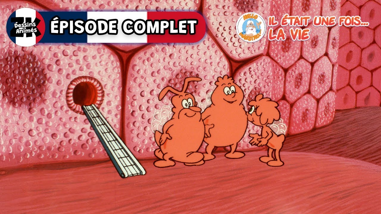 Il était une fois... La Vie 🧬 La Planète Cellule | Saison 3, Épisode 1 | ÉPISODE COMPLET