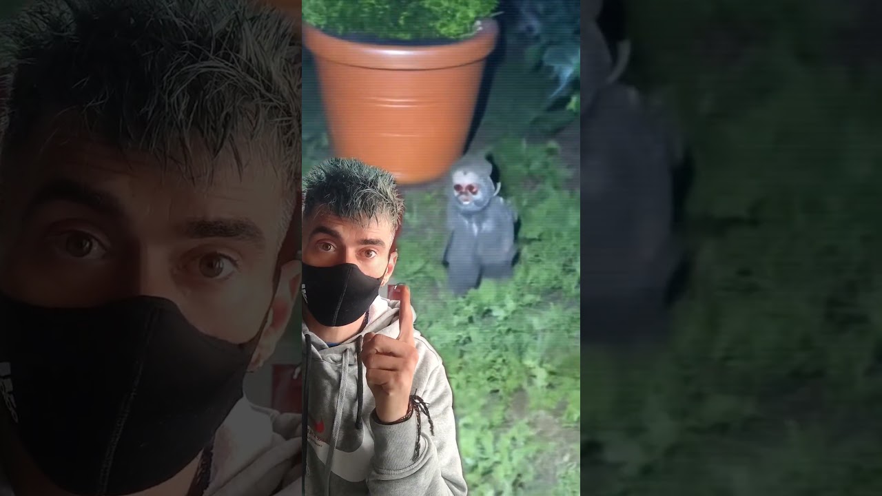DUENDE REAL CAPTADO EN CAMARA#duende