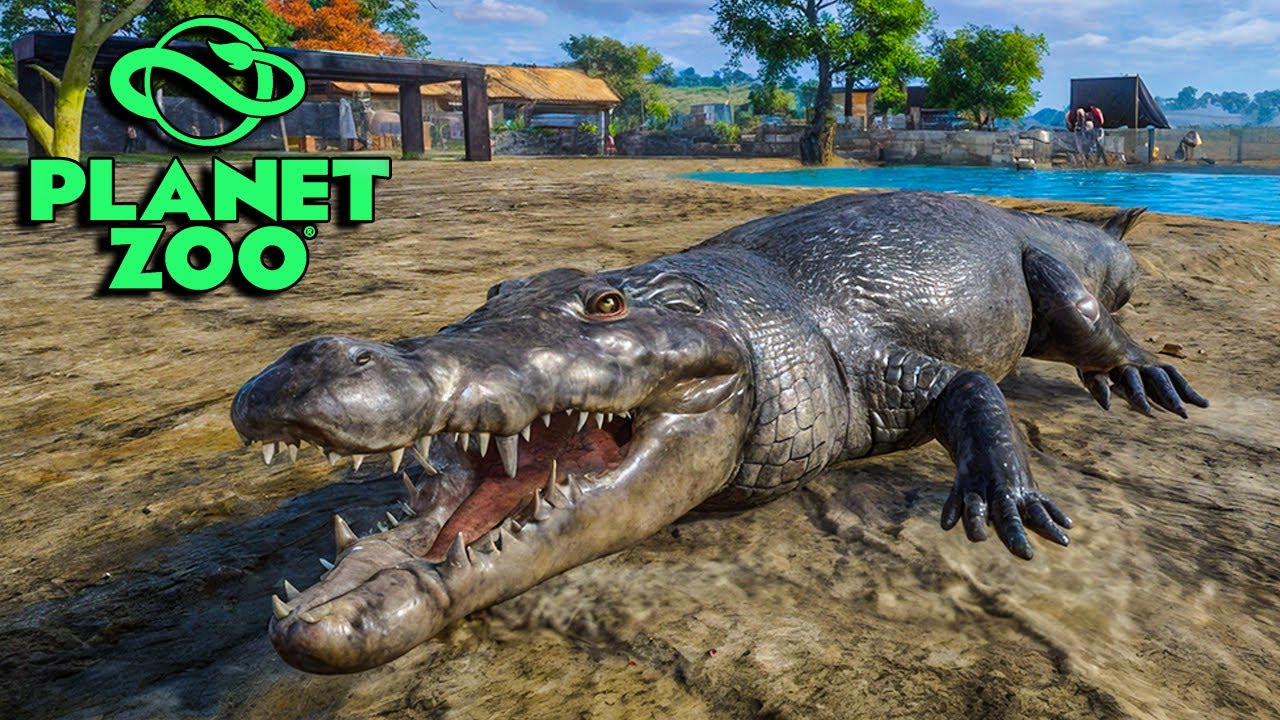 DEĞİŞİK BİR TİMSAH BİYOMU TASARLADIK ! | PLANET ZOO (BÖLÜM 4)
