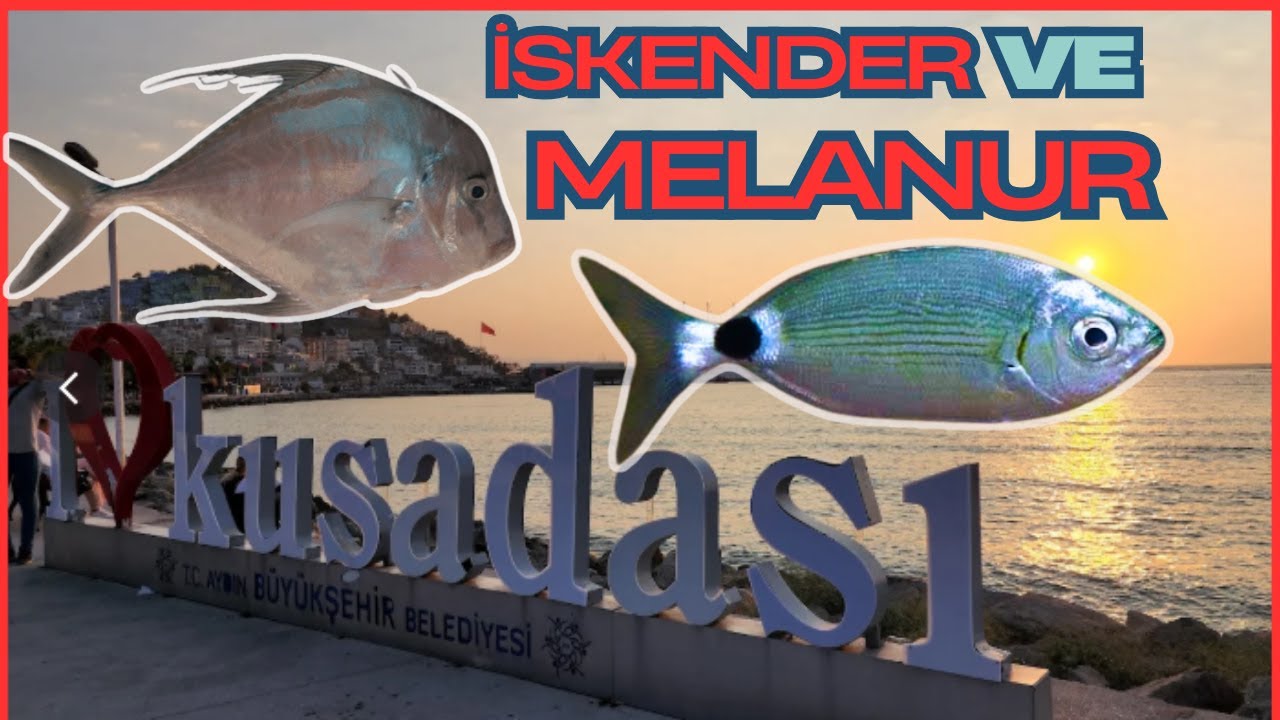 Kuşadası Balık avı.  Micro LRF ile Melanur ve İskender (Deve Balığı).