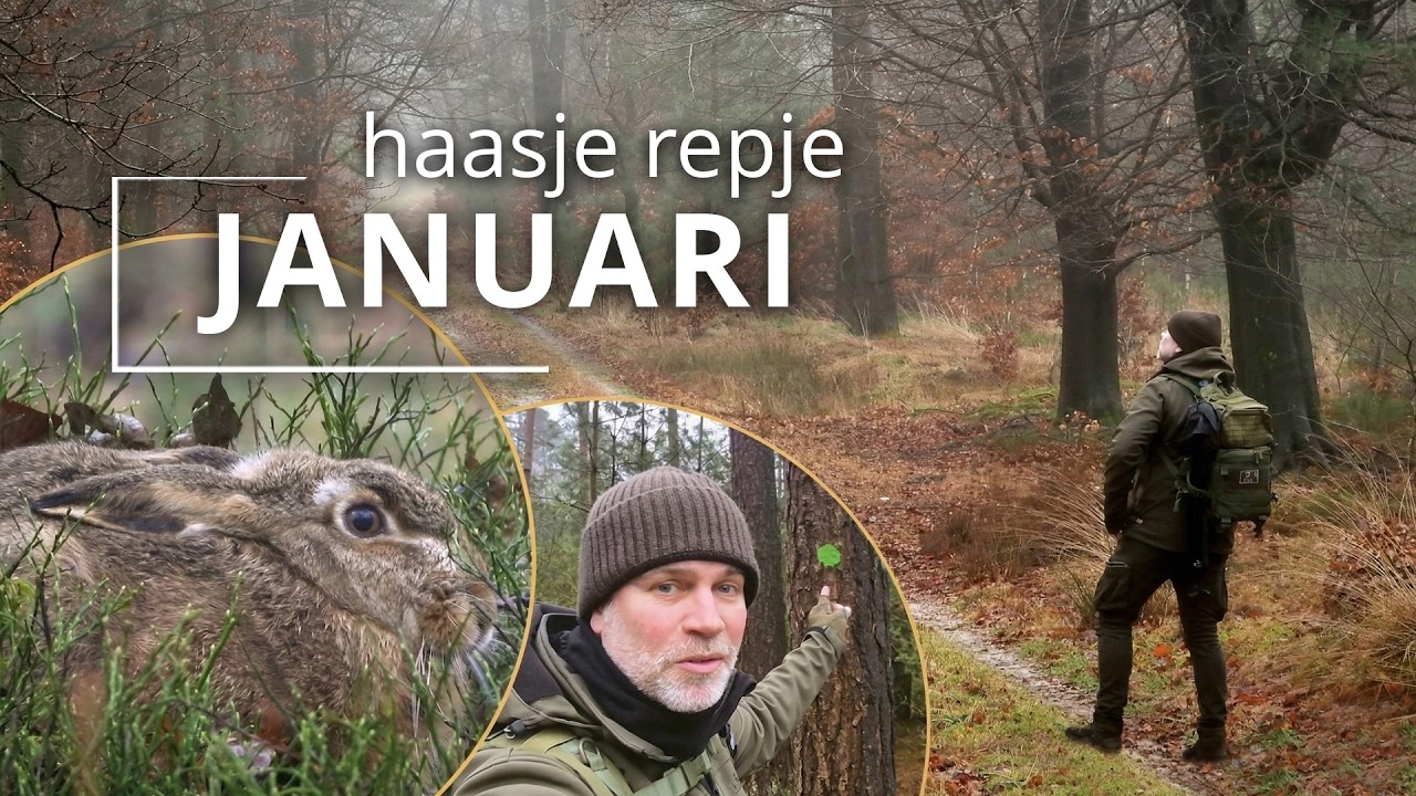 #90 - JANUARI - haasje repje