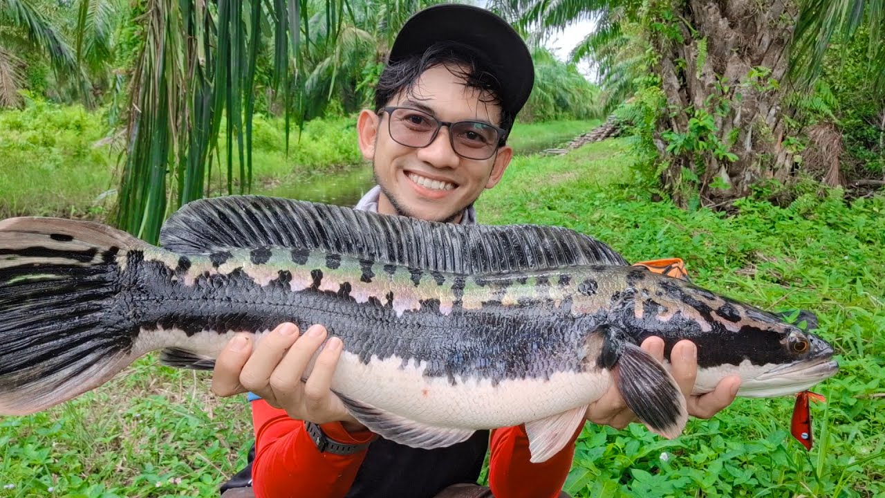 ALHAMDULILLAH REKOR PERDANA AKU DAPAT TOMAN SEGEDE INI, DRAG KLICKER SAMPAI MENJERIT