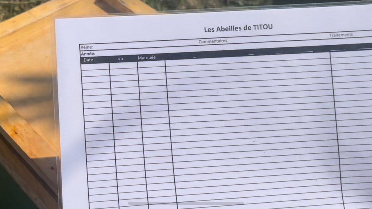 Mes Fiches de suivi 🐝