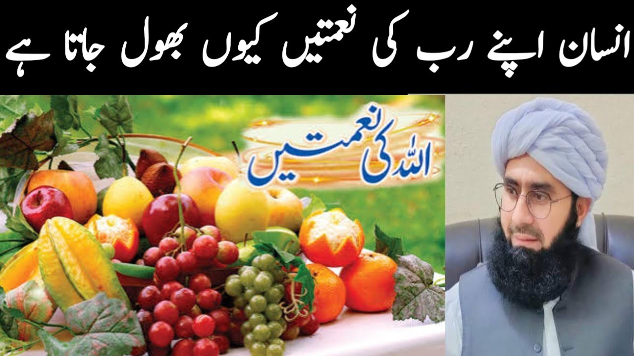 بہت ہی خوبصورت بیان دل خوش ہو گیا مولانا جمشید احمد خان وائس آف دیوبند 